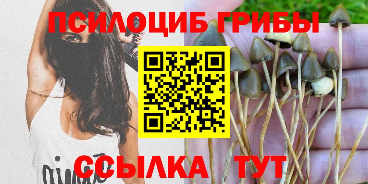 Псилоцибиновые грибы ЛСД Саранск