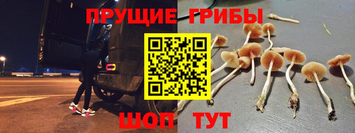 Псилоцибиновые грибы Magic Shrooms  Галлюциногенные грибы Psilocybe  Вход с VPN  Саранск 